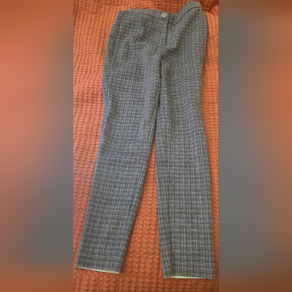 Zara Skinny Ankle Pants